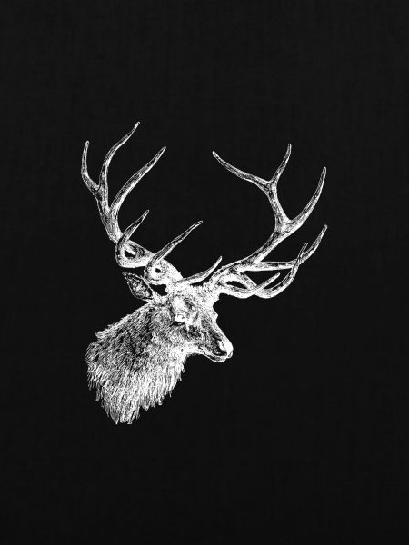 Hirsch - Hirschgeweih