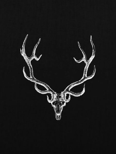 Hirsch - Hirschgeweih
