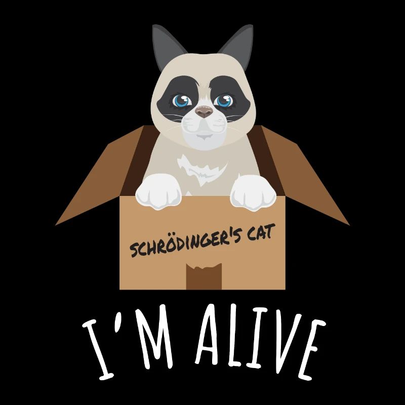 Idée de cadeau pour le chat de Schroedlinger