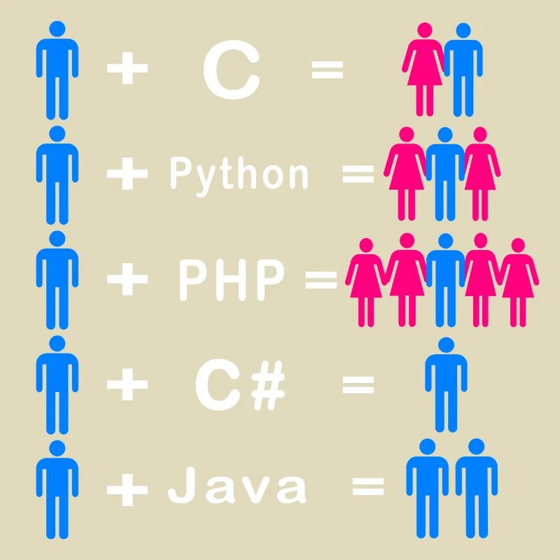 Programmierer
