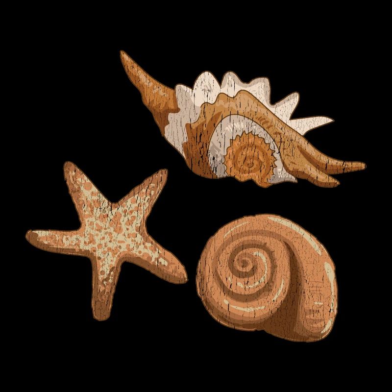 Muscheln und Seesterne