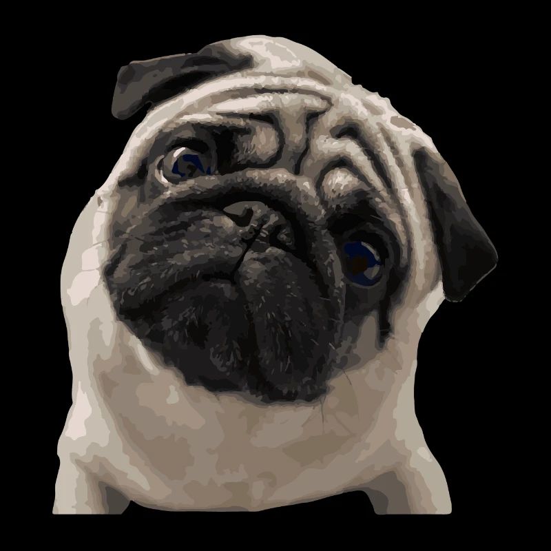 Pug pug