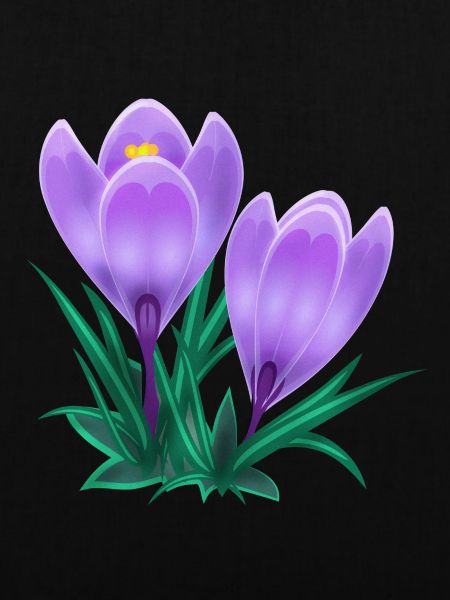 crocus