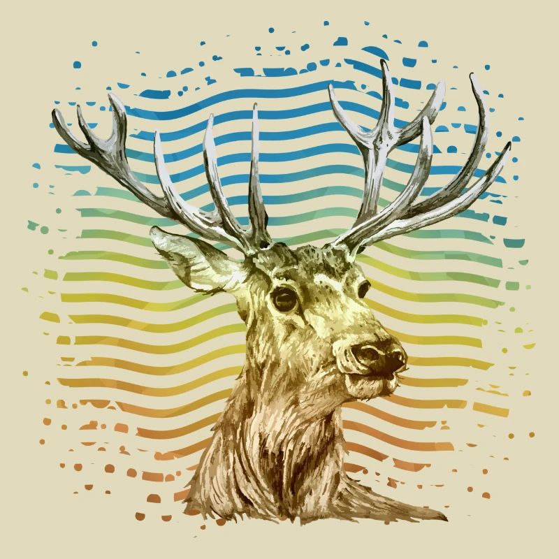 Hirsch