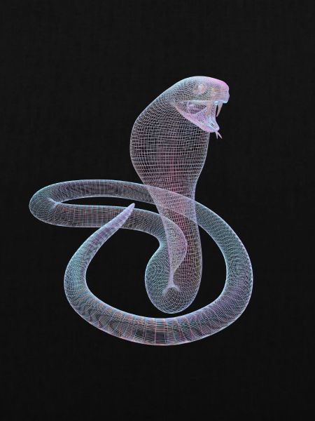 cobra