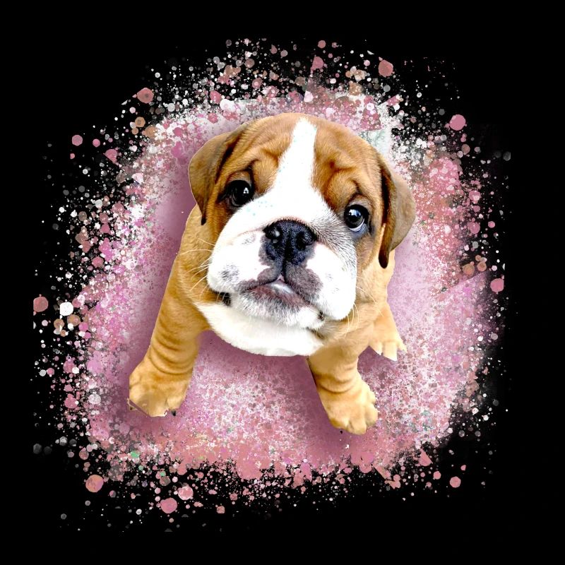 bulldog, pink , graffiti , puppy, mops