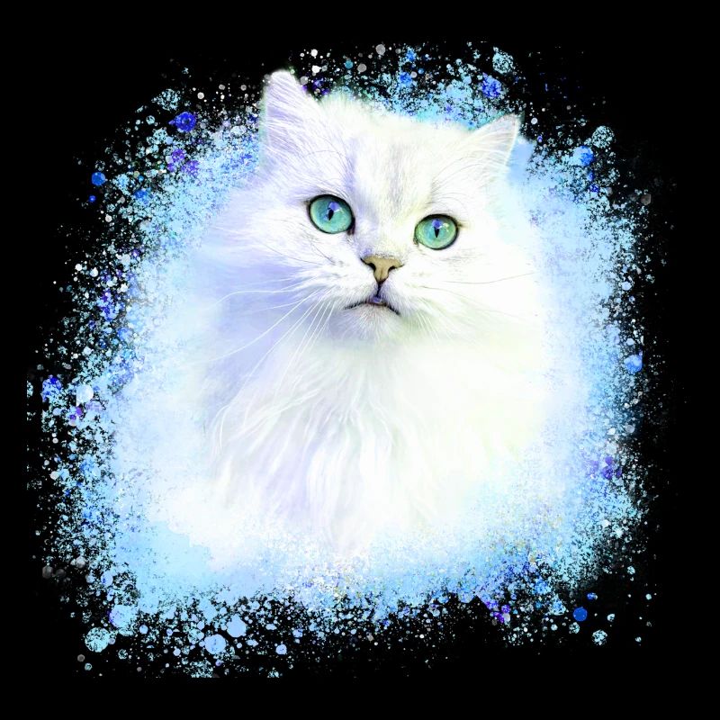 chat persan, chat siam, chat, chat blanc, graffiti