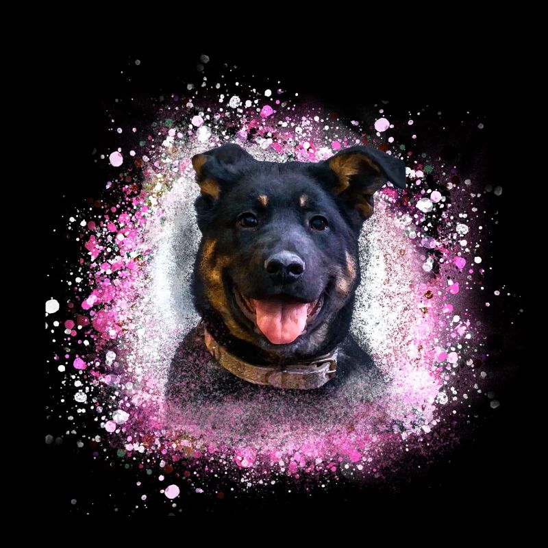 chien, berger, chiot, rottweiler