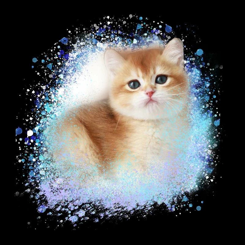 kitten,cat,kitten,graffiti,painting