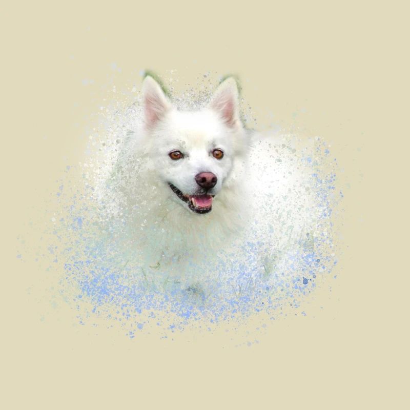 pointed,dog,graffiti,painting,dwarf