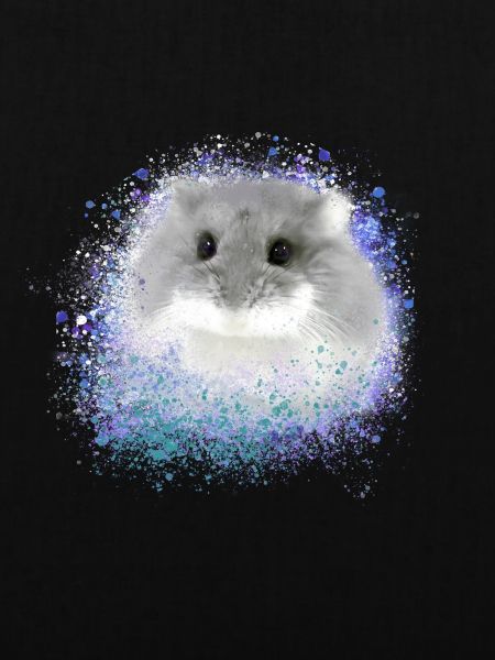 dwarf hamster,hamster,grey,graffiti,painting,blue