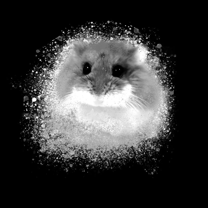 hamster nain, hamster, brun, graffiti, peinture, gris