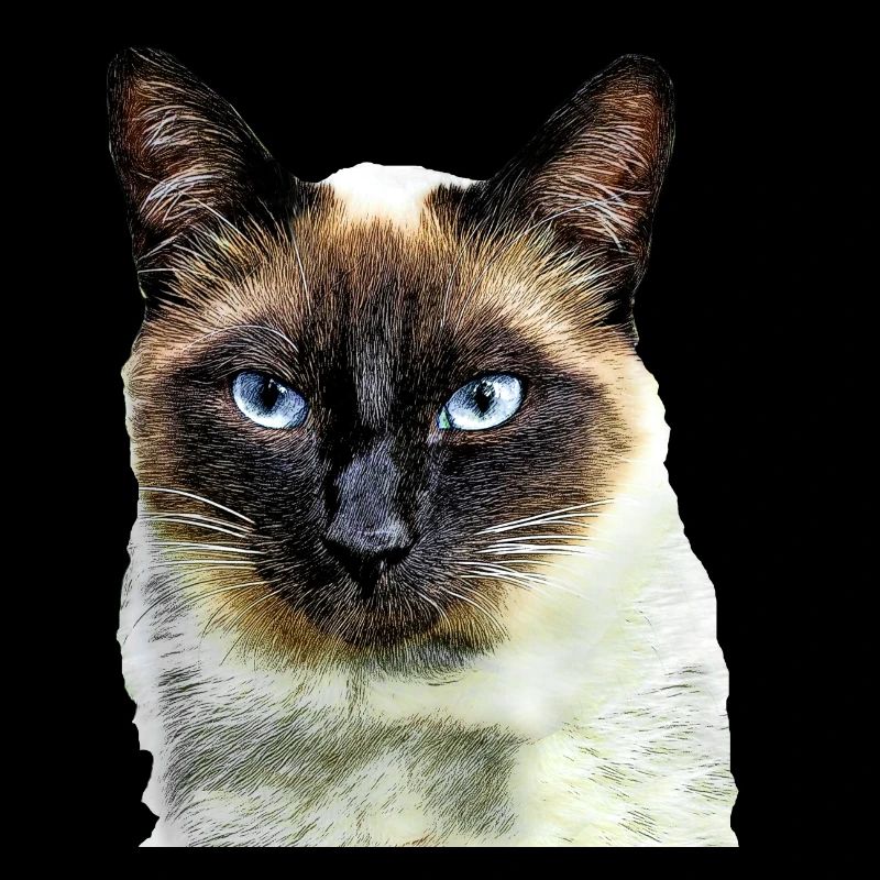 Siamkatze