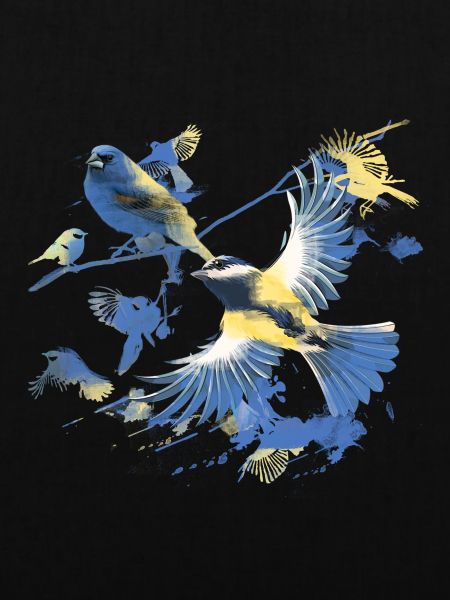 Vögel,kohlmeise, vogelschwarm, Graffiti,bunt