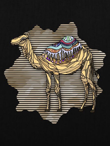 Camel