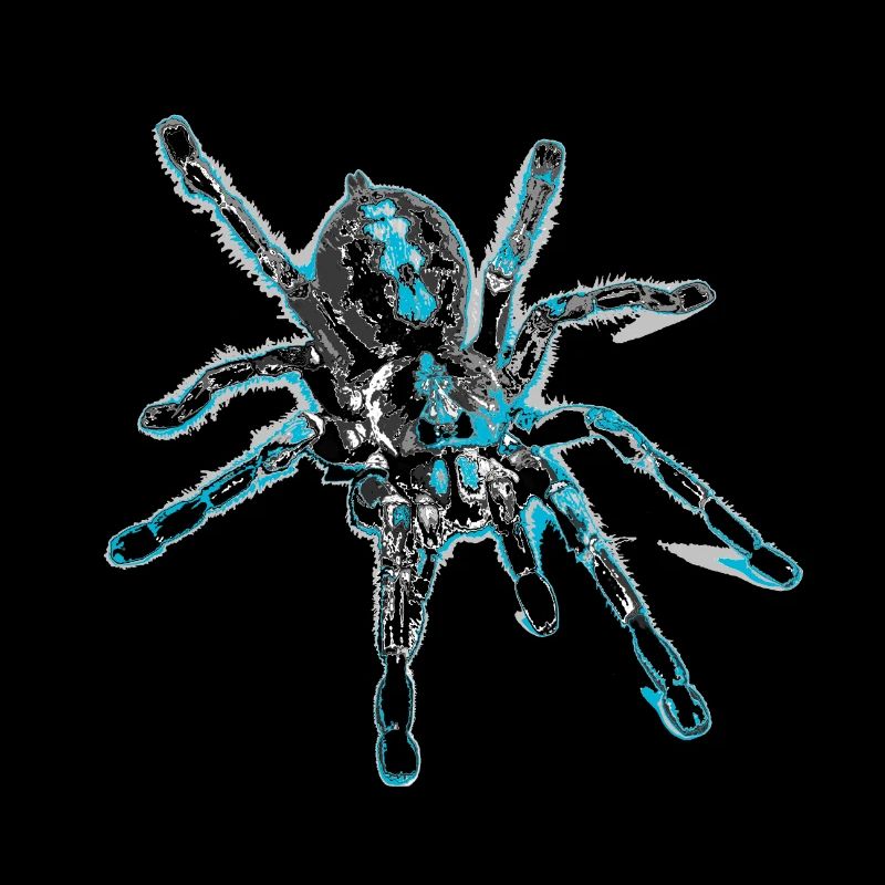 Tiger spider blue, spider