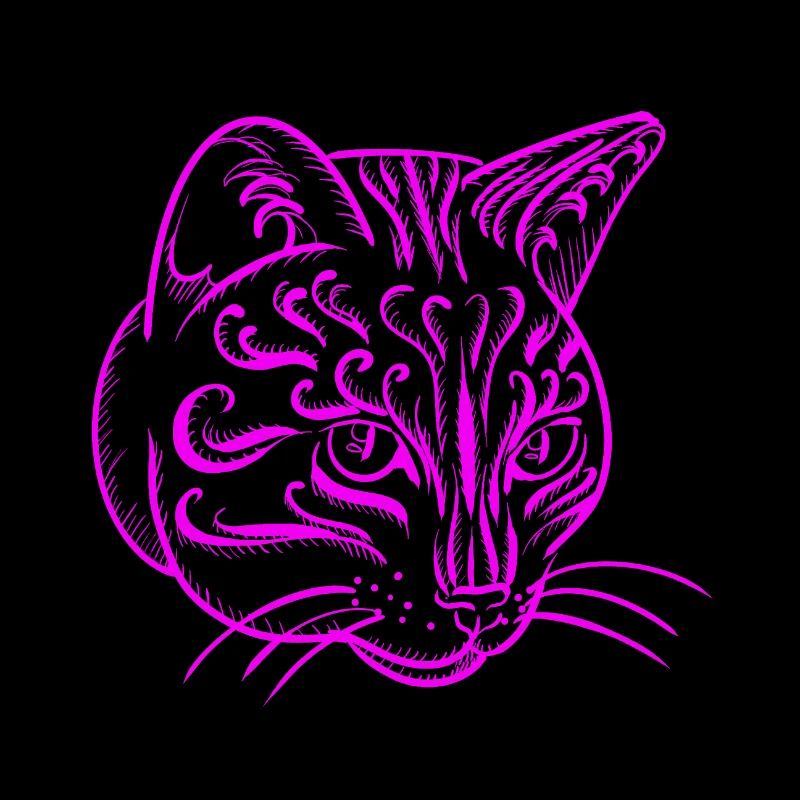 Katze