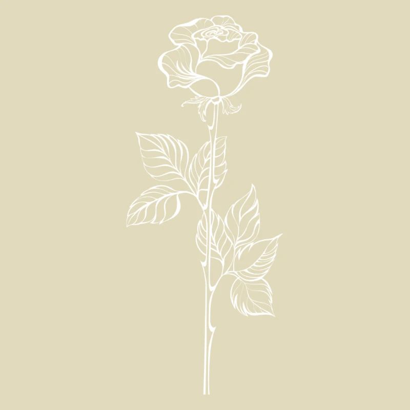 White Rose