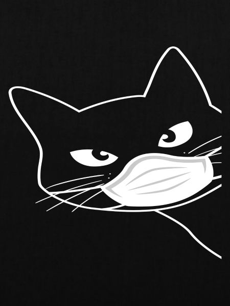 Cute cat with mouthguard
