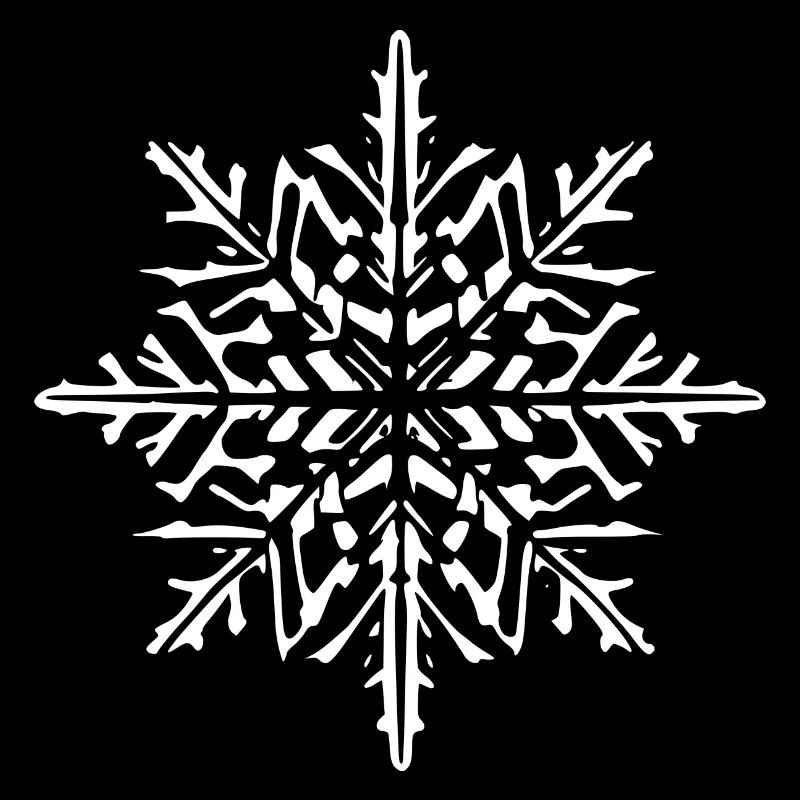Snowflake Snow Winter Christmas Cold 3