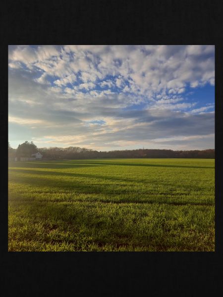 Himmel auf Erden