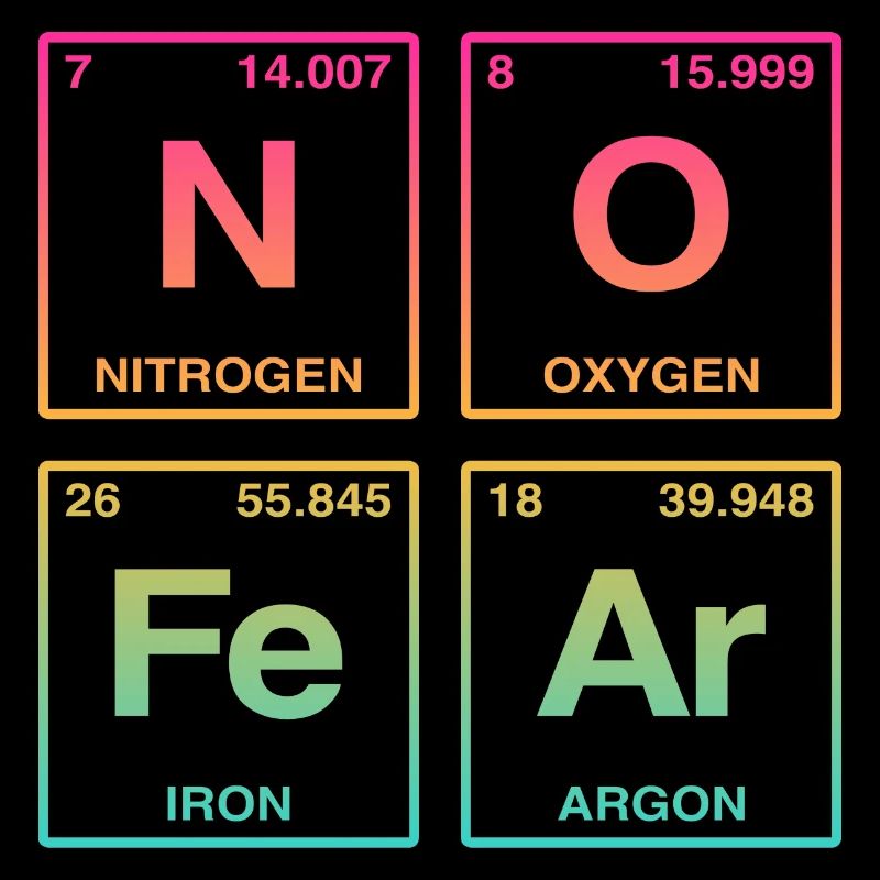 NO FEAR - avec des éléments du système de perdiode