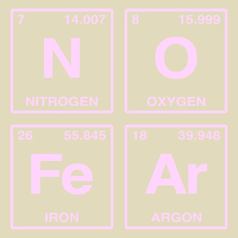 NO FEAR - with elements of the perdiode system