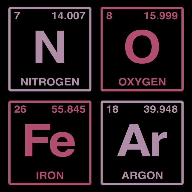 NO FEAR - with elements of the perdiode system