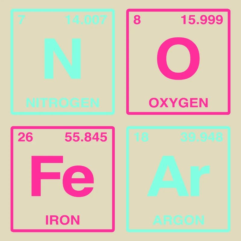 NO FEAR - with elements of the perdiode system