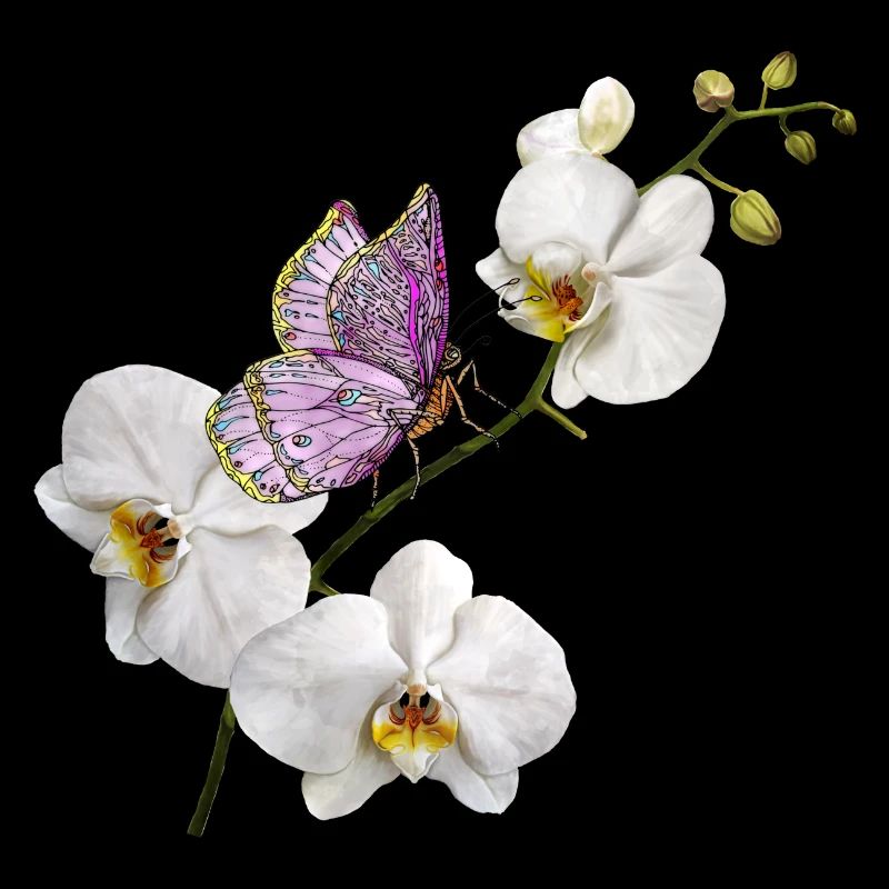 Bunter Schmetterling