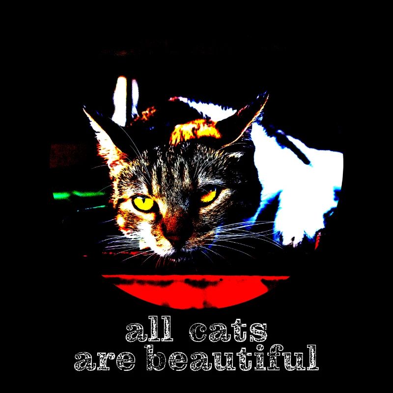 tous les chats sont beaux