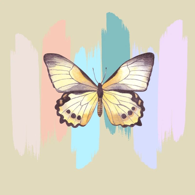 Regenbogen-Schmetterling