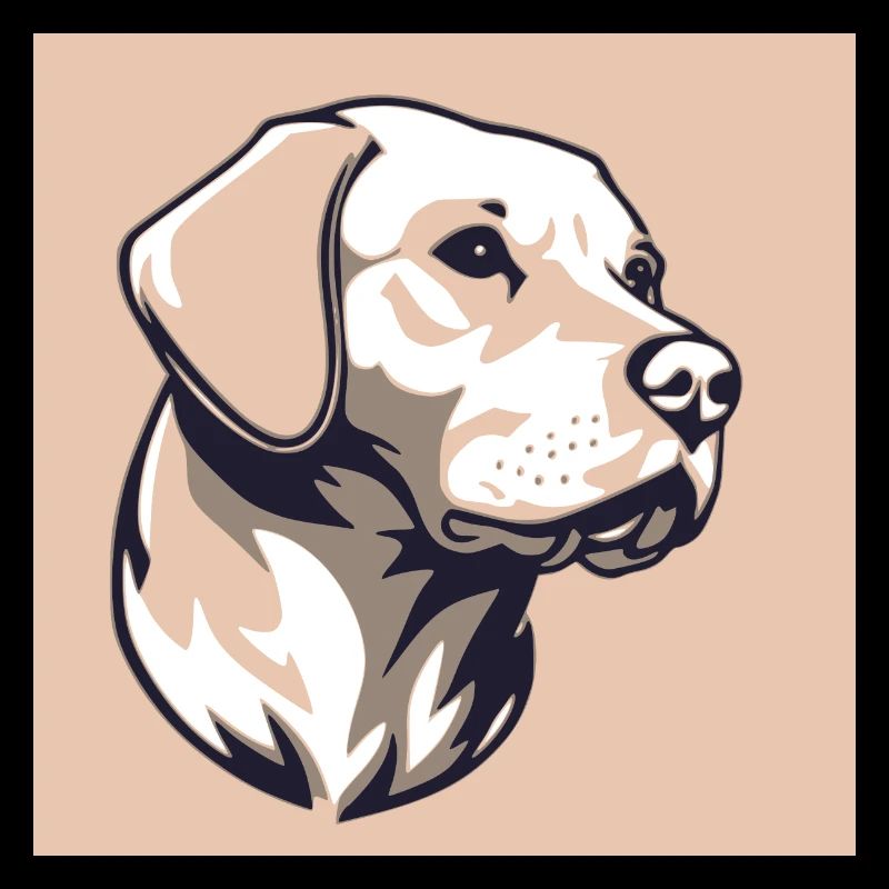 Labrador