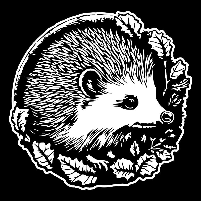 Igel Wald Stachelig Tier