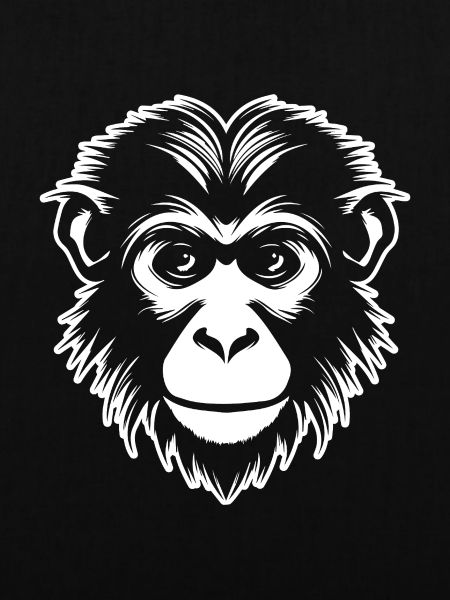 Affe Affen Affengesicht Dschungel