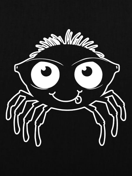 Spinne Spinnen Tiere