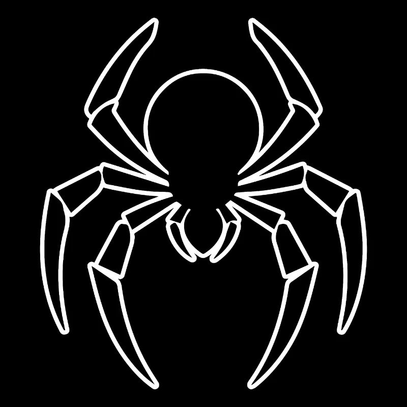 Araignée araignées animaux