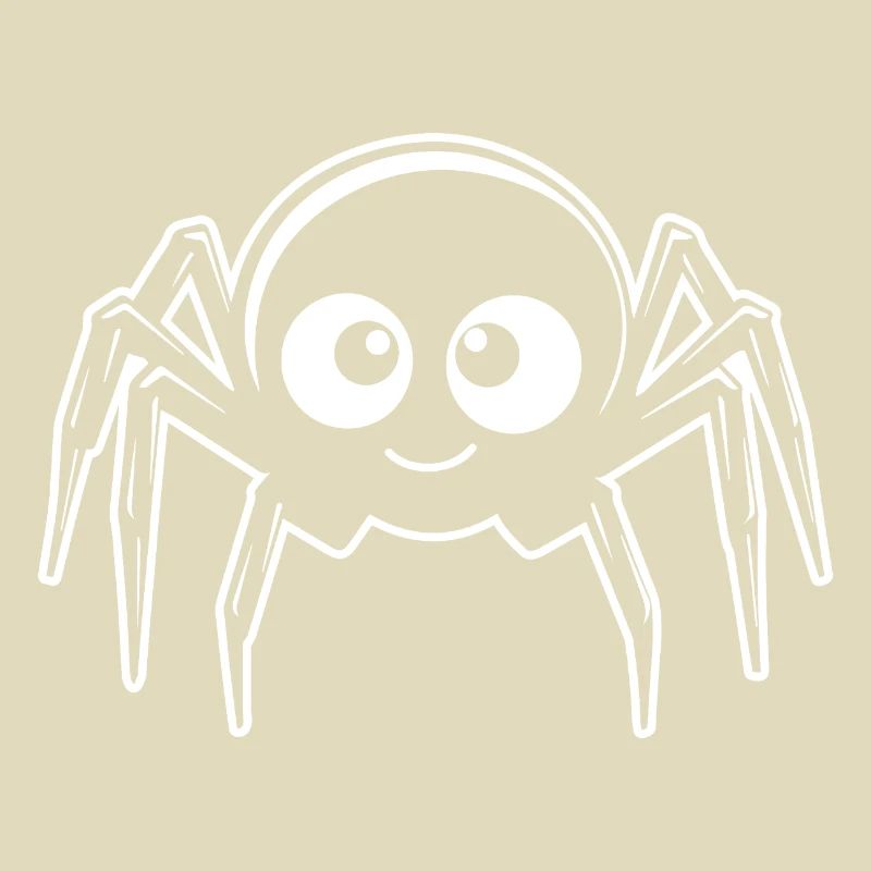 Spider spiders animals