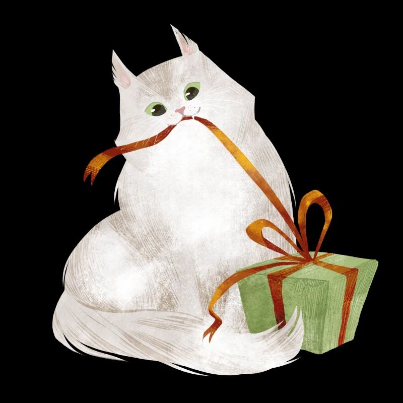 Katze mit Weihnachtsgeschenk