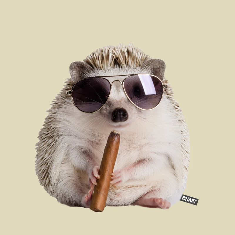 Igel cool