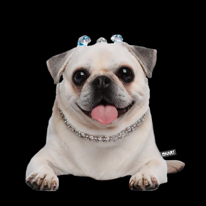 Mops weiß