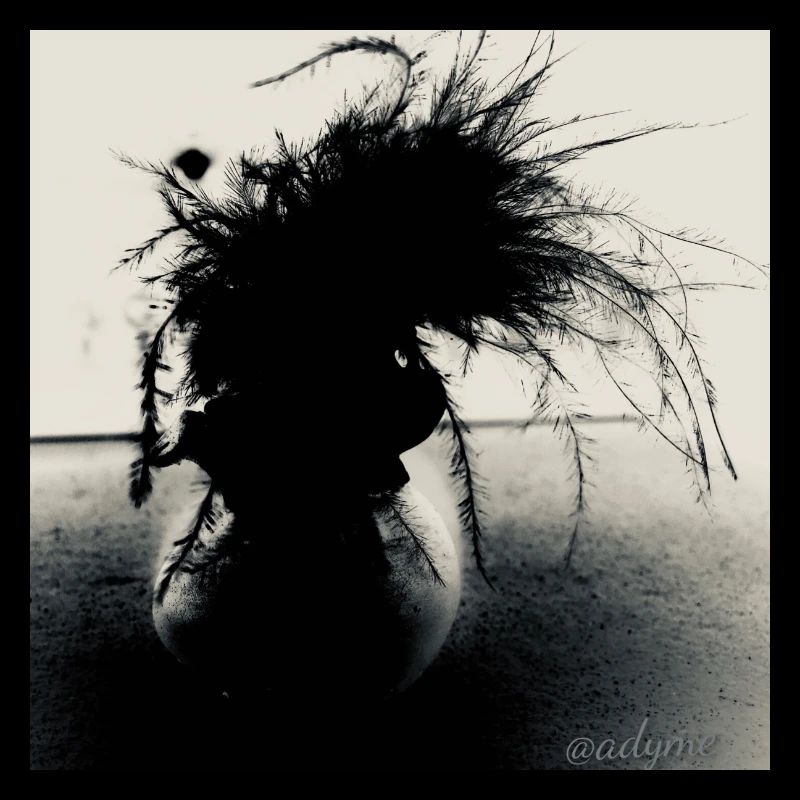 Rocker rocheux