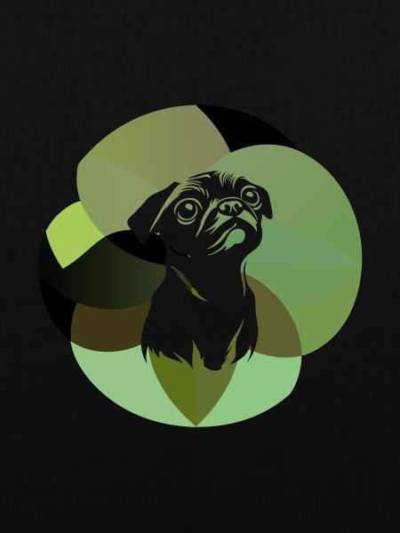 Mops Fell Tierschutz