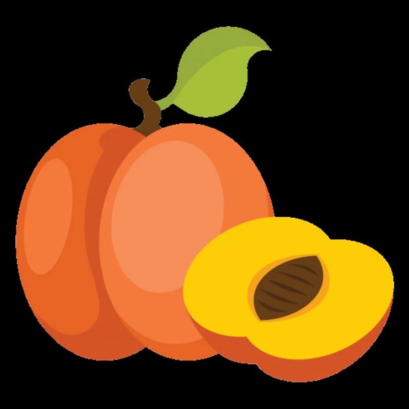 pêche