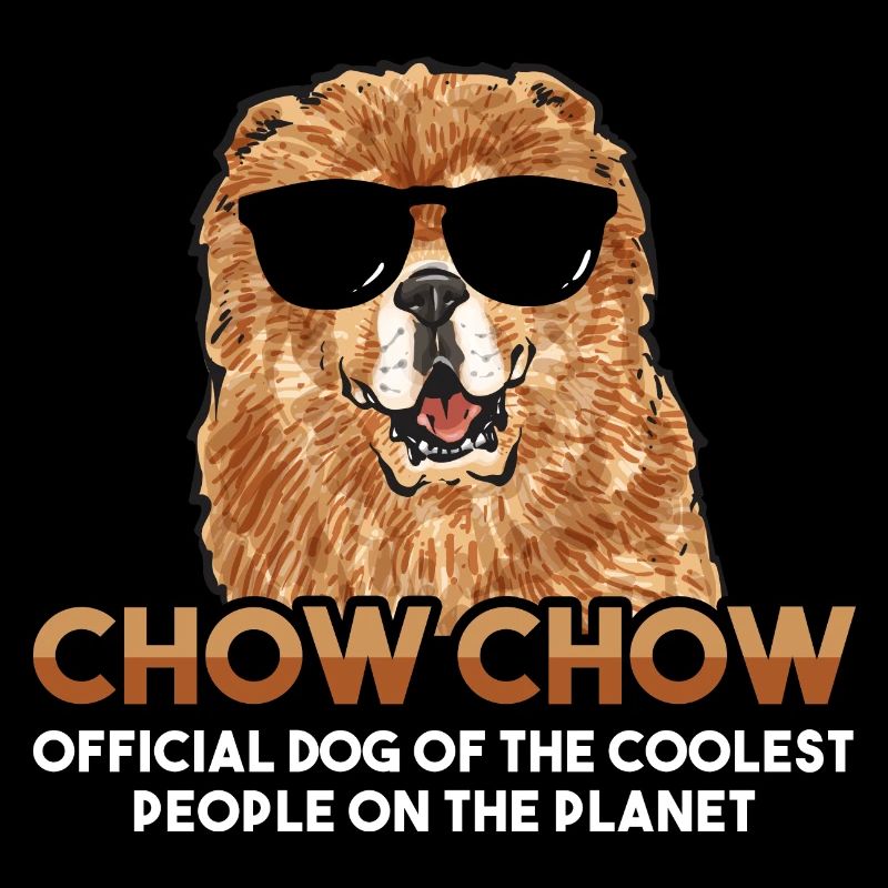 Chow Chow Hund