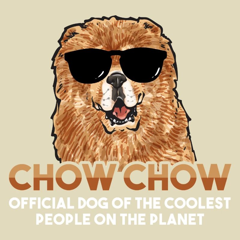 Chow Chow Hund