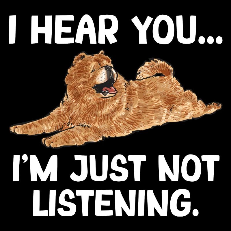 Chow Chow Hund