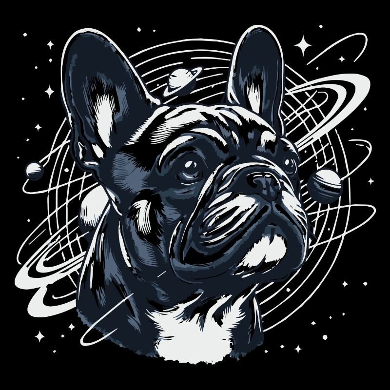 Frenchi in Space 3