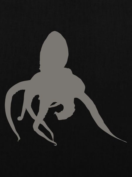 Krake