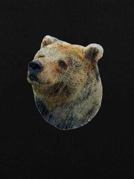 Fröhlicher Braunbär